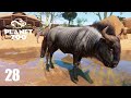 GNUS de Cauda Preta vivendo com as ZEBRAS E BÚFALOS + PIRARUCÚS no ZOO - Planet Zoo  #28