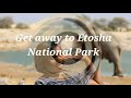 Visit to Etosha National Park / Okaukuejo