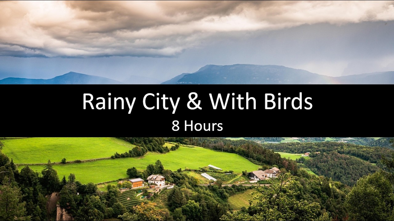 Black Screen Rainy City Ambience with Birds – 8 Hours | Focus & Relaxation