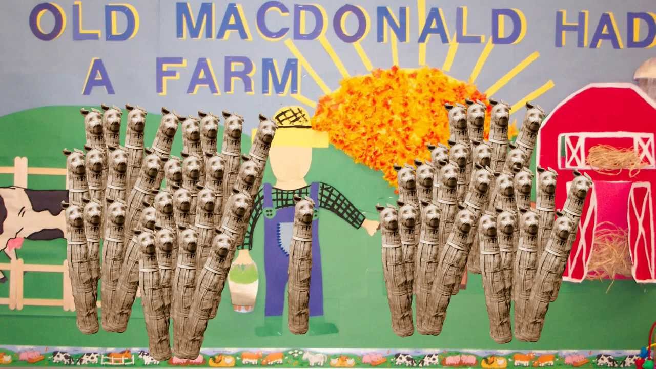 Ancient Egyptian Cats Used as Fertilizer on British Farms? : Archae-Facts