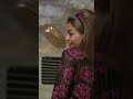 الليلة دلع علي المعلم النوح