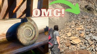 Fossil Hunter Finds Landslide FULL Of Fossils!!