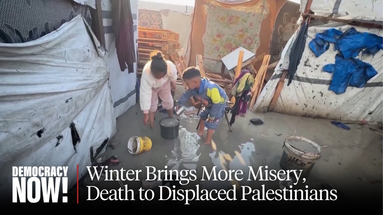 Gaza Winter: Doctors Warn Thousands of Palestinians Could Die from Cold, Hunger, Disease