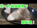 釣ったクエでクエ鍋作ってみた！