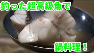 釣ったクエでクエ鍋作ってみた！