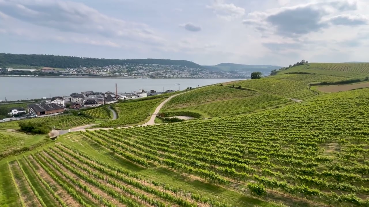 Chairlift, Rüdesheim am Rhein