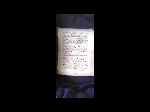 Isti Sunct Sancti My Manuscript page.