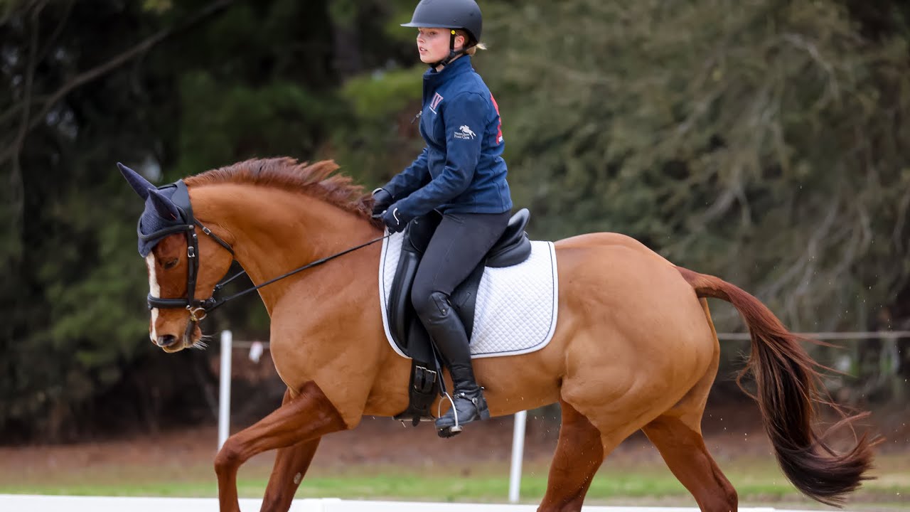 2025 Dressage Video Application (Ava P Davis)