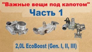 видео: Важные вещи под капотом: 2,0L EcoBoost (Gen. I, II, III) - Часть 1 картинка: Важные вещи под капотом: 2,0L EcoBoost (Gen. I, II, III) - Часть 1