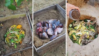 "3 Backyard Secrets to Revive Dead Soil in days (No Money, No Chemicals!)"