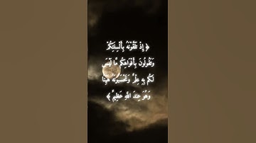 السورة: النور القارئ: ياسر الدوسري الاية: 15