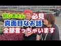 【多肉植物】【真面目なお話】真面目なお話‼️全部言っちゃいます‼️2026年5月12日