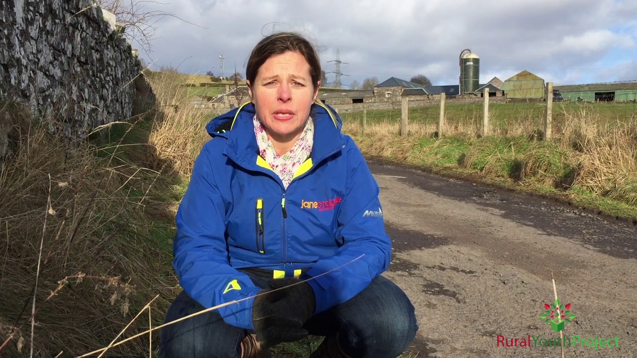 The Rural Youth Project Explained