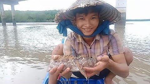 giăng câu cá ngát vào những ngày mưa bảo và dính được lòi cá lạ