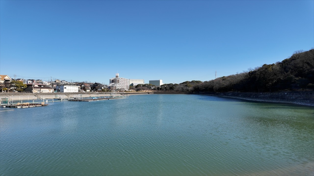 【保田ヶ池公園】池と森をぐるっと30分、彫刻も楽しむ冬の散歩｜2026-02-03