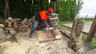 Cutting Aspen Logs with STIHL MS 231 & MS 362 – Firewood Prep!