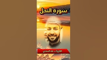 ما تيسر من سورة النحل بصوت القارئ د. طه السعدني.