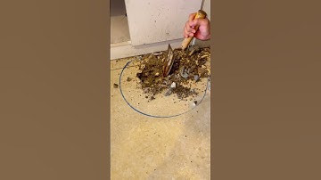 Cách dò tìm đường ống nước rò rỉ ngầm chính xác 100% #sieuamnuoc #plumber #hanoi #saigon