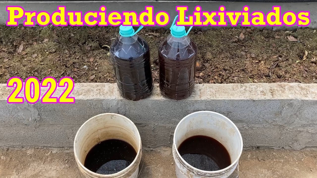 Como Hacer o Producir Lixiviados de Lombriz.   Año 2022 (25) #lixiviados