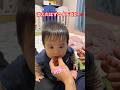 消えたはずのイチゴを食べ続ける赤ちゃん #赤ちゃん #baby #いちご #babyshorts #子育て #funny maito Channelさんより！