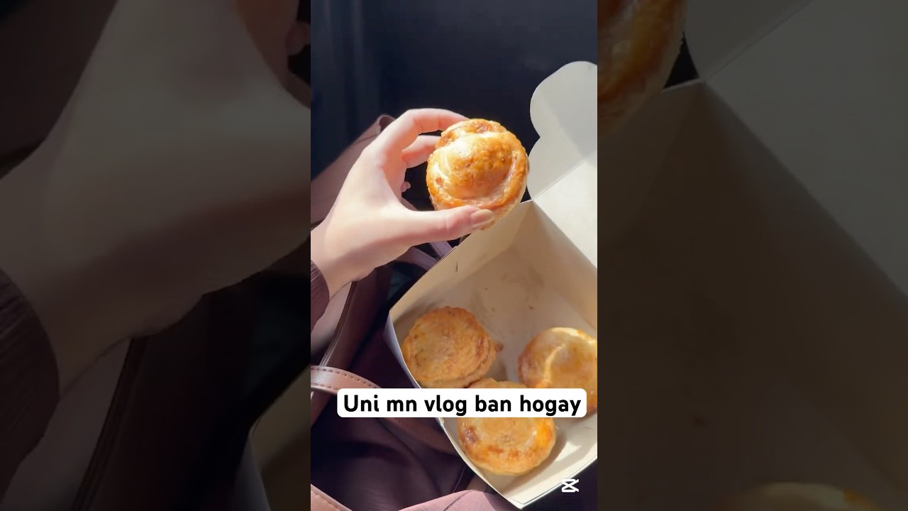 University mn vlog bnana ban hogya!