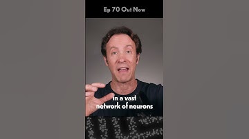 Memory is a fragile brain state | INNER COSMOS WITH DAVID EAGLEMAN #shorts