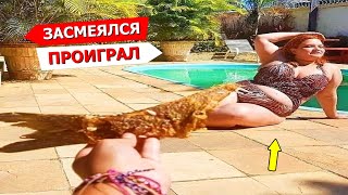 Я РЖАЛ ДО СЛЕЗ😂 40 Минут ОТБОРНЫХ ПРИКОЛОВ 2023 Смешные видео - Лучшие ПРИКОЛЫ #39