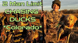Hitting the Limit on an Epic Day! Duck Hunting in Northeast Colorado | Father and Son | Public land