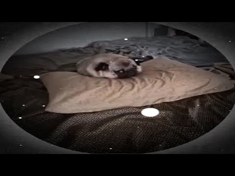 Нормально всё?