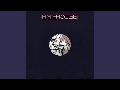 Dachshund — Turbo Fish