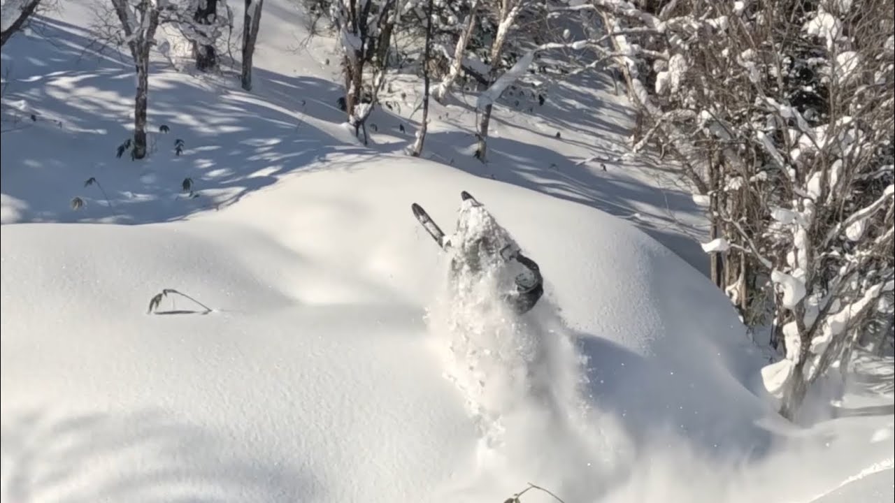 2026年　1月29日　探索デート