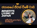 What are the benefits of living in japan/ Sinhala /ජපානයේ ජීවත් වීමේ වාසි/ සම්පූර්ණ තොරතුරු සිංහලෙන්