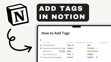 How to Add Tags in Notion | Notion Tutorial (2025)