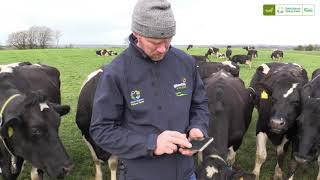 Breeding Management - Francis Nolan
