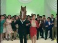 【OLD】 H03 岩手競馬ＣＭ◆タップ篇 30秒