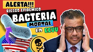 ALERTA  ⚠️ EXPERTOS ALERTAN BROTES INFECCIOSOS POR BACTERIA MORTAL EN EEUU ???