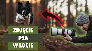 Jak Zrobić Zdjęcie Psa w Locie?