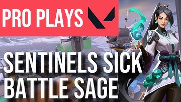 Sage Icebox Guide | How SEN SicK DOMINATES Icebox