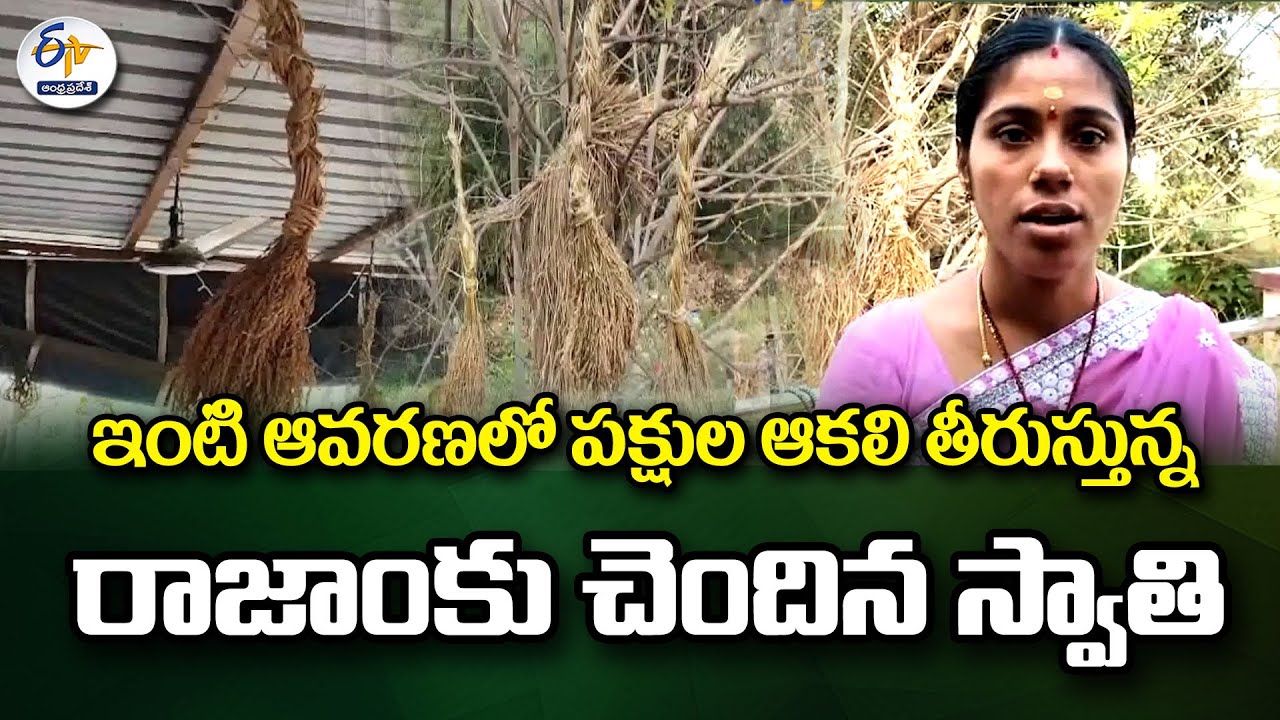 R Rajam ఇంటి ఆవరణలో పక్షుల ఆకలి తీరుస్తున్న రాజాంకు చెందిన స్వాతి | Swathi From ...