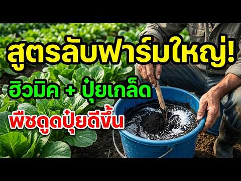 ภาพปกวิดีโอ: ฮิวมิค (Humic Acid) คืออะไร ทำไมต้องผสมกับปุ๋ยเกล็ด