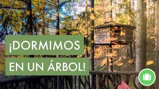 Dormir en una cabaña de un árbol en Cataluña – Cabanes als Arbres - YouTube
