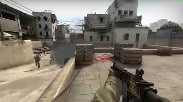 [CS:GO] Silver Gaming In a Nutshell (60fps)
