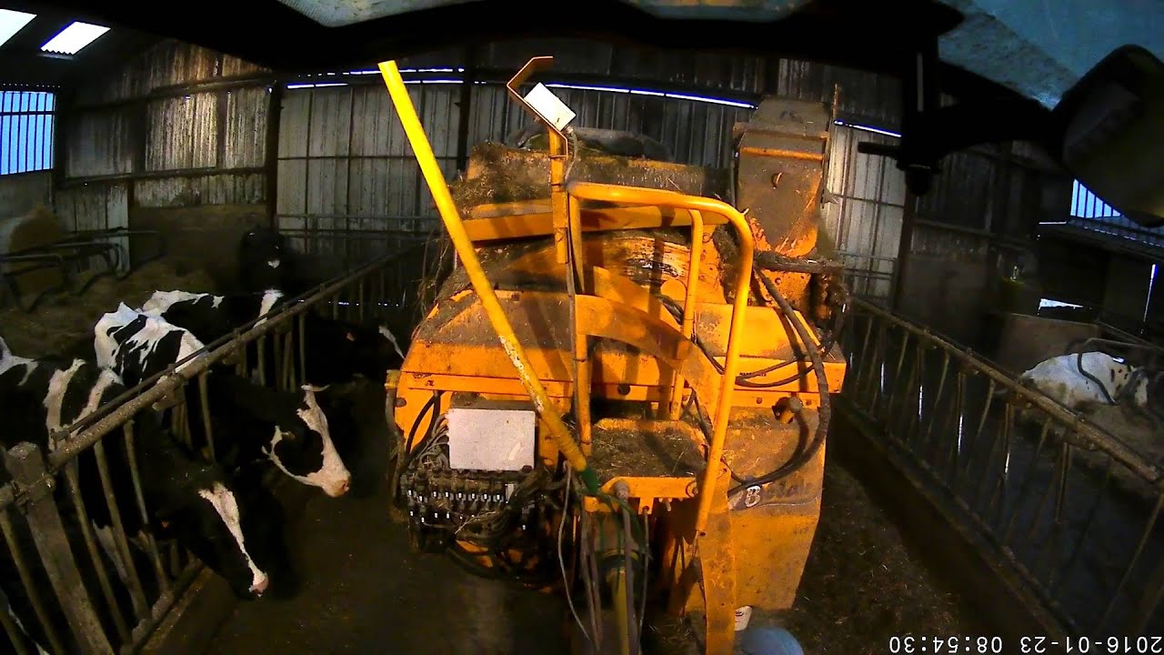 Une matinée à la ferme ( Claas Arion 440 )