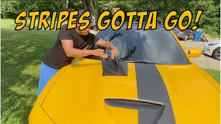 POLICE MADE ME REMOVE MY STRIPES!!