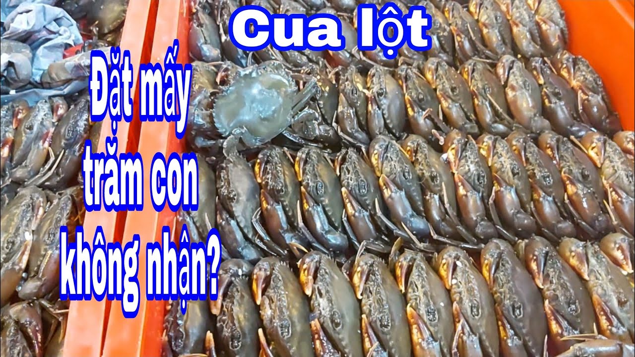 bảng giá cá khô Update New Bị khách mắng vốn đi chợ Bình Điền Chắt bỏ nghề nếu lừa đảo??? Cua lột giá quá gắt???