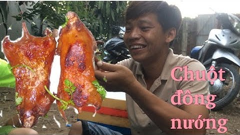 săn bắt chuột đồng cùng anh em ngày cuối tuần