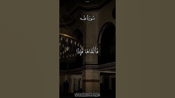 قَالَ أَلْقِهَا يَا مُوسَىٰ | محمد صديق المنشاوي | سورة طه
