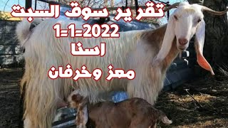 تقدير ثاني لسوق السبت أسنا الاقصر روعه جدا (٣/١)(٠١١٥٧٧٩٠٦٠١)قناه_أبو_ريان_لتجاره_ألأغنام