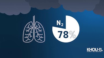 Did you know lightning helps plants grow?