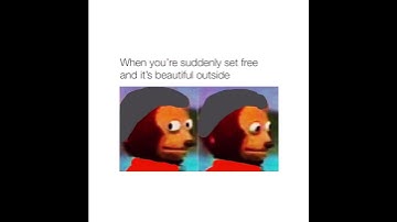 No i did not make an edit about scp 001 lily